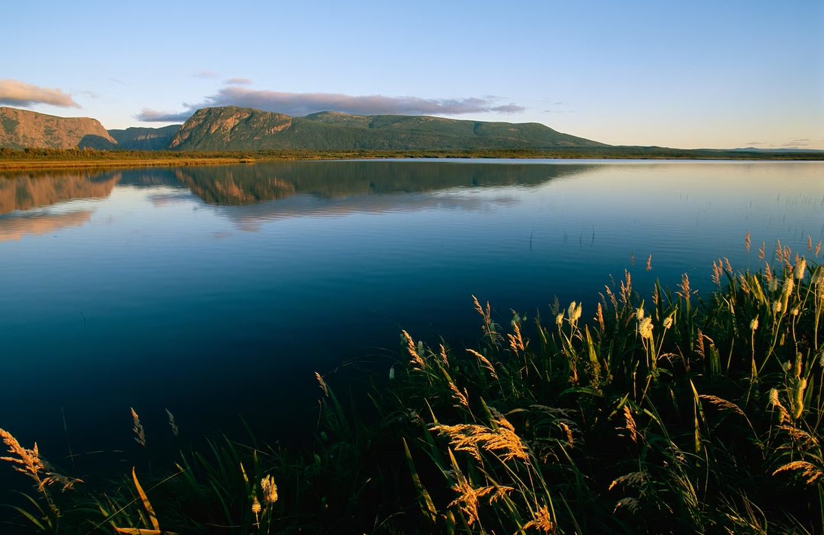 Western Brook Pond lies in the shadows of the Long Range Mountains in Canada’s Gros Morne National Park, one of a growing number of destinations with a certified forest therapy trail.