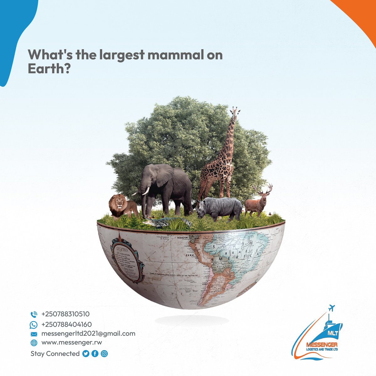 messengerltdrw's tweet photo. Just a little hint, think ocean. Everyone, let’s hear it, leave your answer in the comments.

#trivia 
#messengerlogisticsandtrade
#FridayFunDay https://t.co/KdqJkbO88h