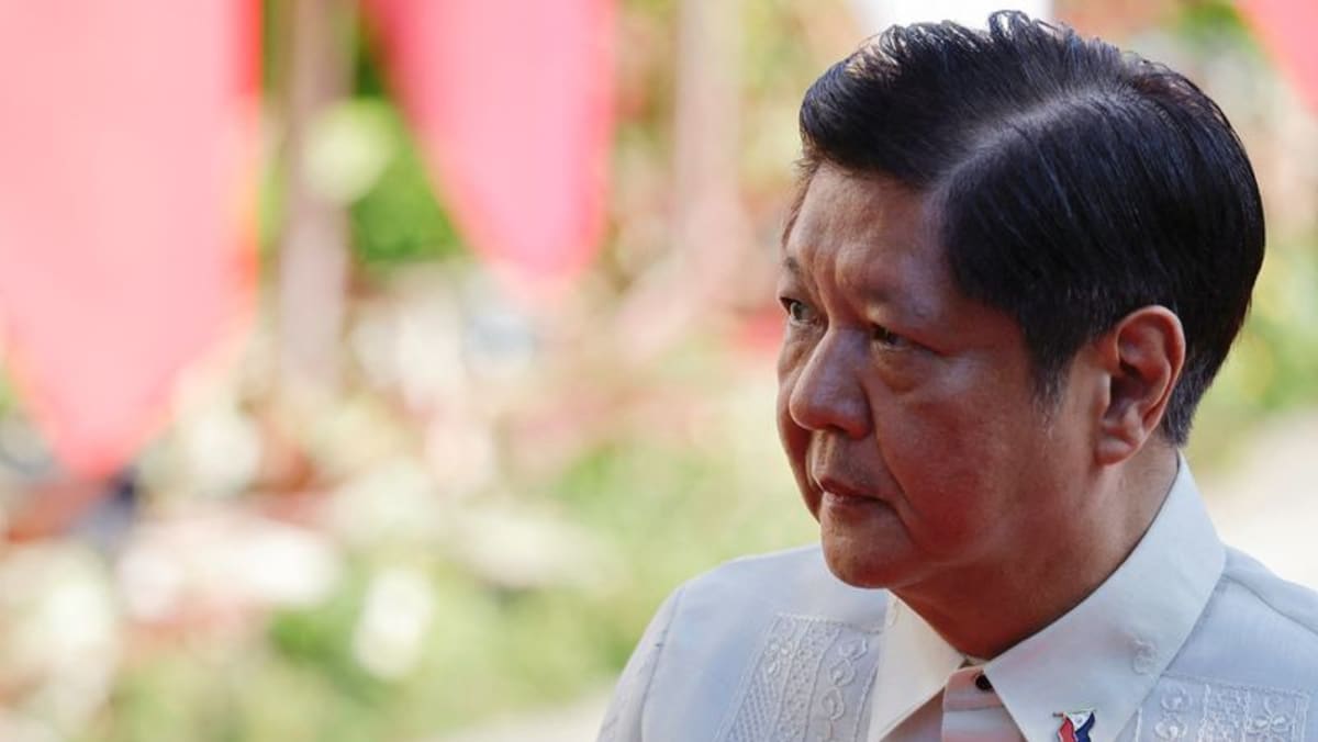 Philippines' 'Bongbong' Marcos drops holiday marking ouster of dictator father cna.asia/3Fgd8v2