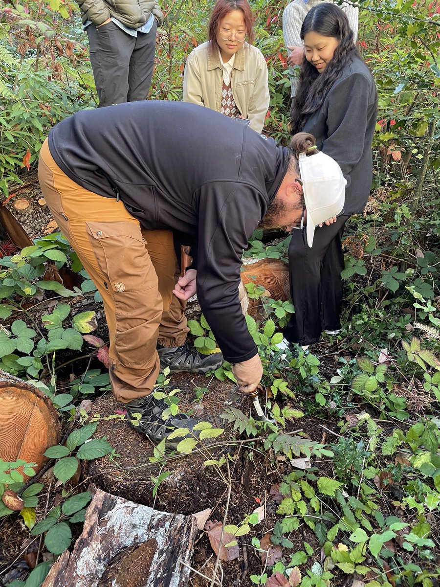 richamelin's tweet photo. A great outing with the @ubcforestry @ubcMSFM 2023 cohort, checking Armillaria ostoyae and Phaeolus schweinitzii (try spelling that on a lab exam 😜) right on @ubc campus! #treedisease #foresthealth #humongousfungus #fungusamongus https://t.co/TWWbjKvCnN