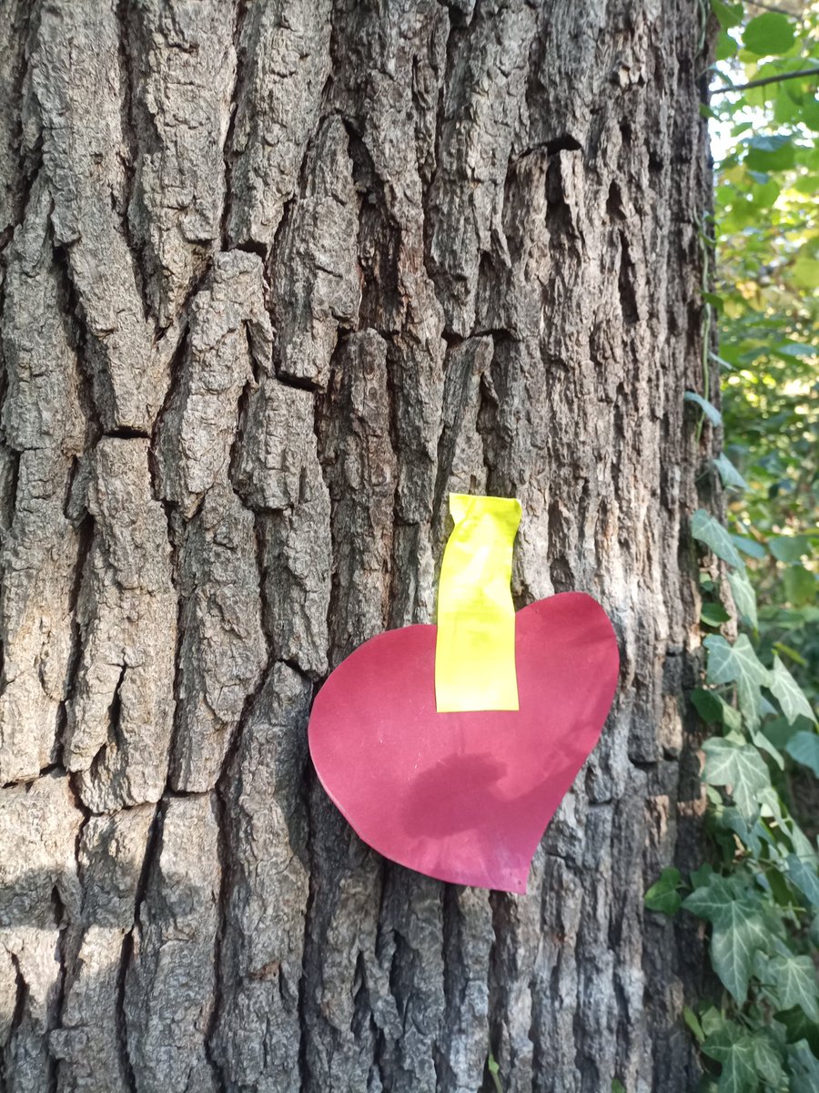 Nächste Woche wahrscheinlich Rodung für die Gasleitung im #dietibleibt Aufruf am Tag X alle in den Wald zu kommen zum Protest Wir sind inzwischen zusätzlich auch zu finden auf bluesky: @dietenbachwald.bsky.social
Mastodon Dietibleibt:@BaumestattAsphalt@climatejustice.social