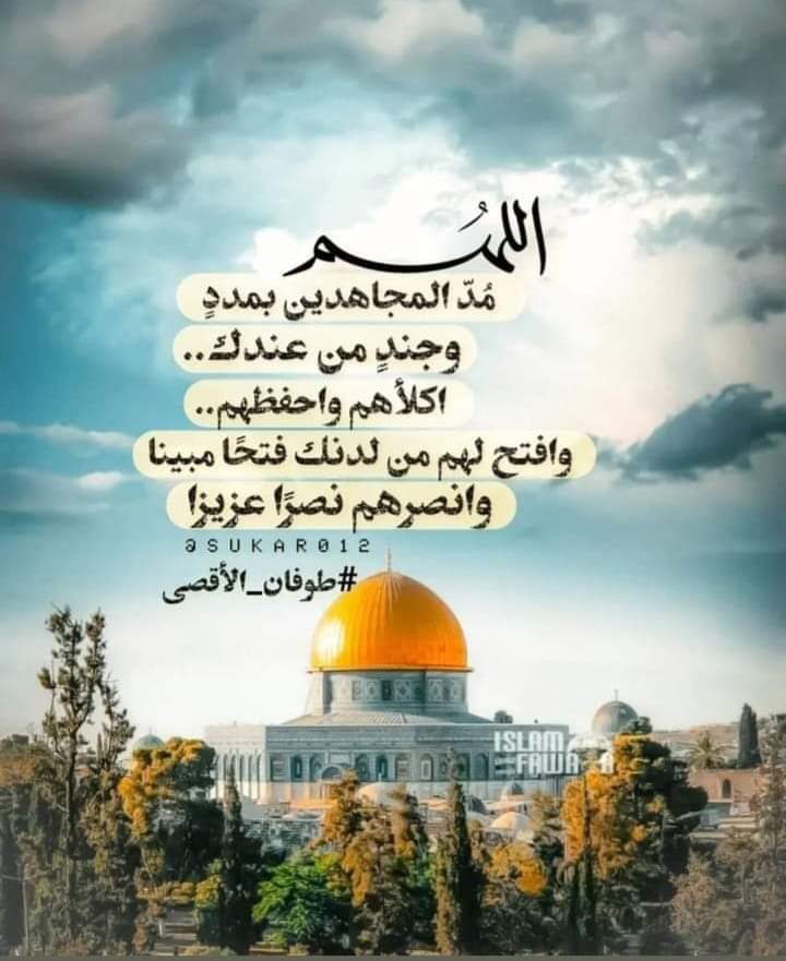 AlbdourMahmmoud's tweet photo. https://t.co/6lXHeYHUoa