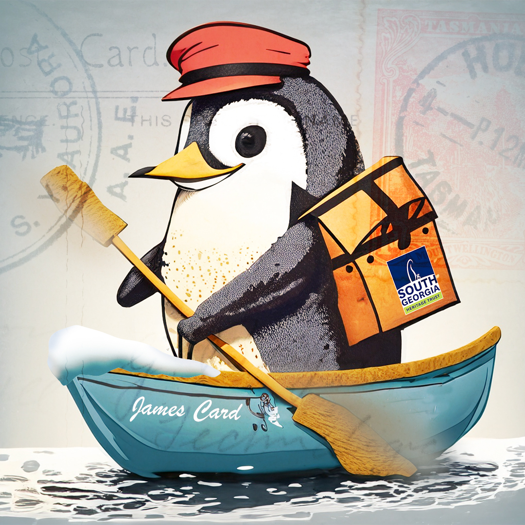 SouthGeorgiaHT's tweet photo. Penguin Post - Donate £50 & choose a #Xmas card to be handwritten and sent from #SouthGeorgia to your chosen recipient, anywhere in the world. Your Xmas donation helps #SGHT continue vital work to protect SG's environment & heritage.
https://t.co/MRVsgMArgP
#PenguinPost https://t.co/94zgtrLApU