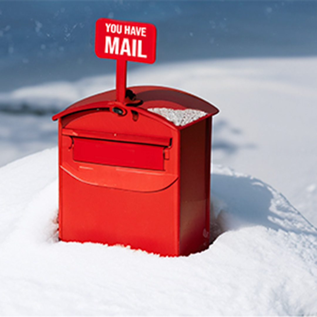 SouthGeorgiaHT's tweet photo. Penguin Post - Donate £50 & choose a #Xmas card to be handwritten and sent from #SouthGeorgia to your chosen recipient, anywhere in the world. Your Xmas donation helps #SGHT continue vital work to protect SG's environment & heritage.
https://t.co/MRVsgMArgP
#PenguinPost https://t.co/94zgtrLApU