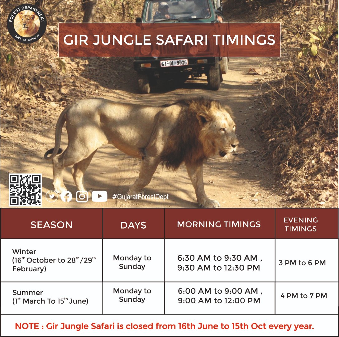 Explore the Wild at Gir: Unveiling Jungle Safari Timings!
 
 Link : girlion.gujarat.gov.in

#GirJungleSafari #WildlifeSafari
#GirNationalPark #JungleAdventure
#SafariExperience