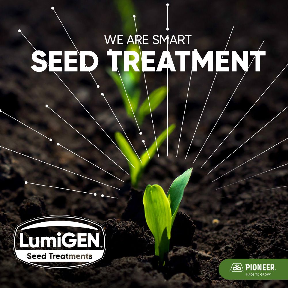 IgorTeslenko4's tweet photo. At Corteva, we bring together the best seed genetics from our flagship seed company, Pioneer, and our LumiGEN™ seed treatment solution. It's a pairing destined for success in the fields. #TogetherWeGrow #DrivingFarmingForward #Lumigen #Pioneer https://t.co/Cit5CqYNka