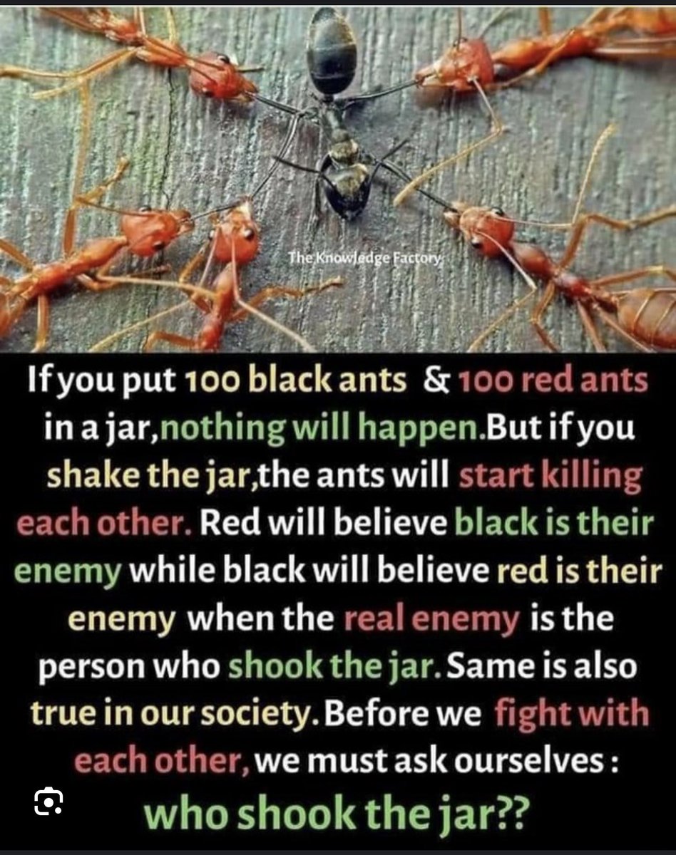 <a href="/nicksortor/">Nick Sortor</a> Before we fight, let us ask ourselves “who shook the jar?”