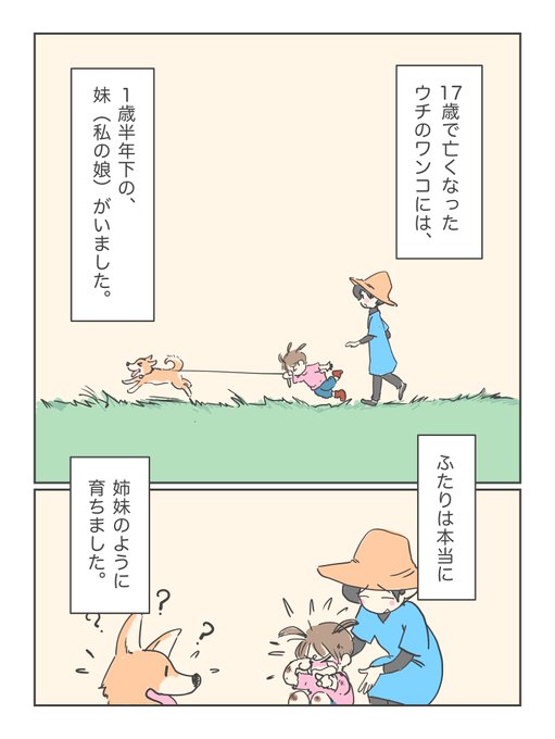 あれは、どっちがどっちを守っていたんだろう?  本の中にも登場する娘ちゃん、ワンコとは「飼い主と犬」というより、「一緒に暮らす姉妹」という関係でした。ワンコはやがて老犬となり、弱ってしまいましたが、最後まで娘ちゃんの「お姉ちゃん」であり続けました。それはとても健気な様子でした。