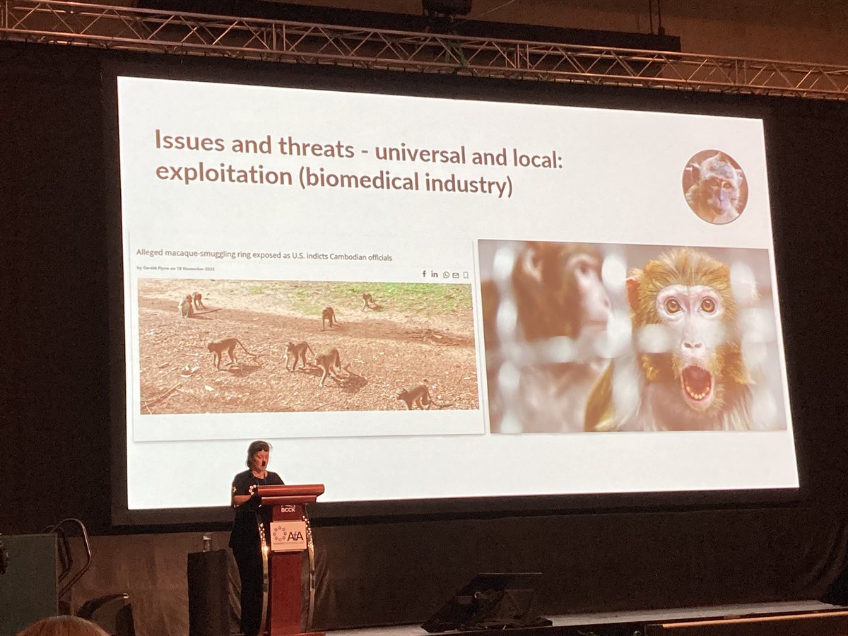 Brooke Aldrich from #asiaforanimals’ Macaque Coalition talked about the Local Challenges and Global Patterns for Macaques, People and Planet