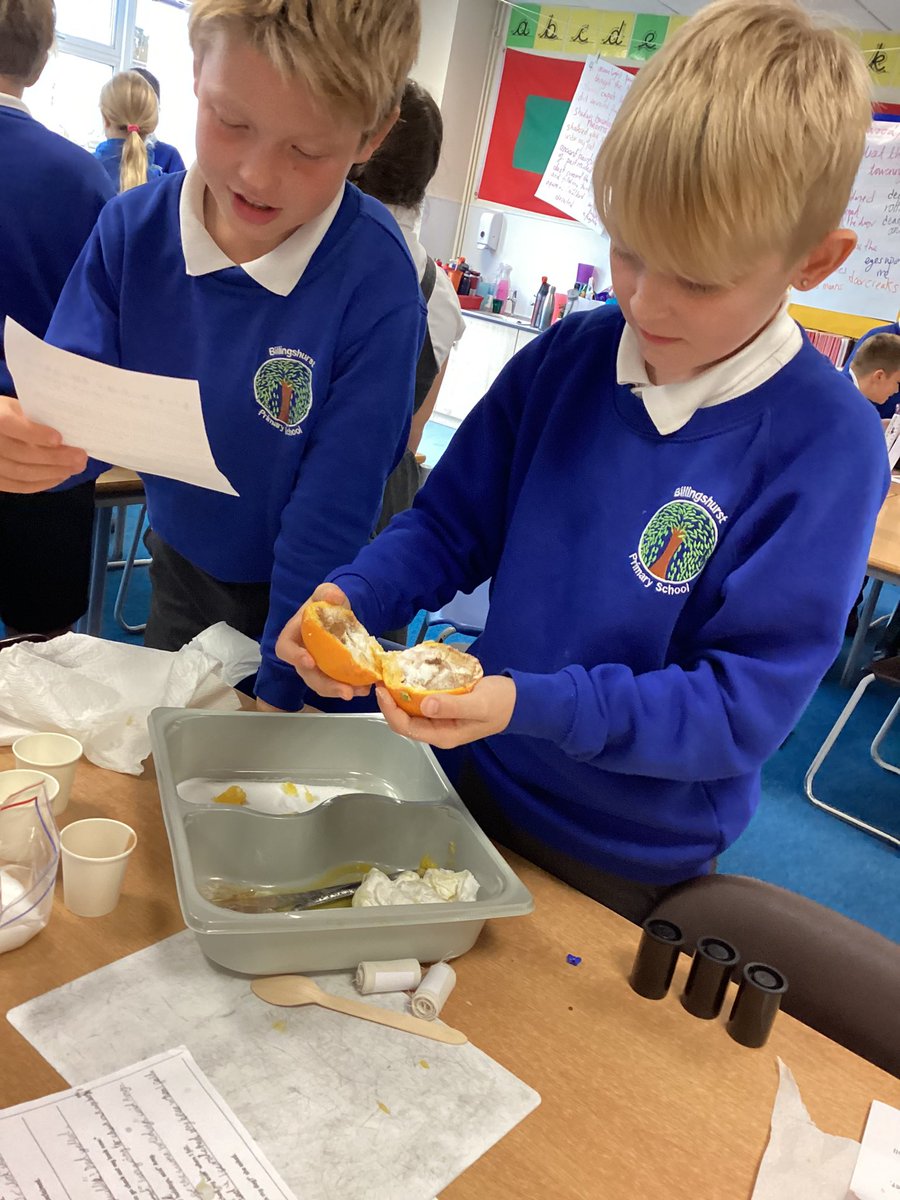 BPSYearFive tweet media