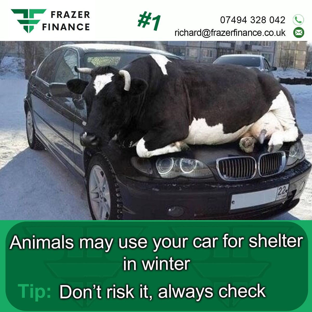 Animals may use your car for shelter
They are not always easy to spot. 

For website blog: bit.ly/3Oyp15w

#CheckForSleepingCats #CatsOnEngines #CatsUnderTheHood #CatNapSafety #EngineAwareness #BeCatAware #KeepAnimalsSafe #frazerfinance #WorcestershireHour