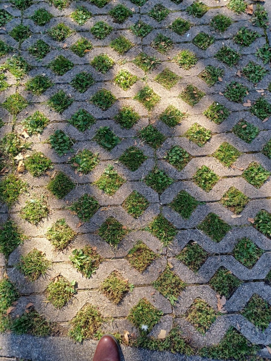 Why don't we have more of this rather than concreting or paving over everything?

It soaks up water, has some semblance of life, but won't turn to mud with vehicle or foot-fall use

Genuinely, is there a reason? What have I missed?