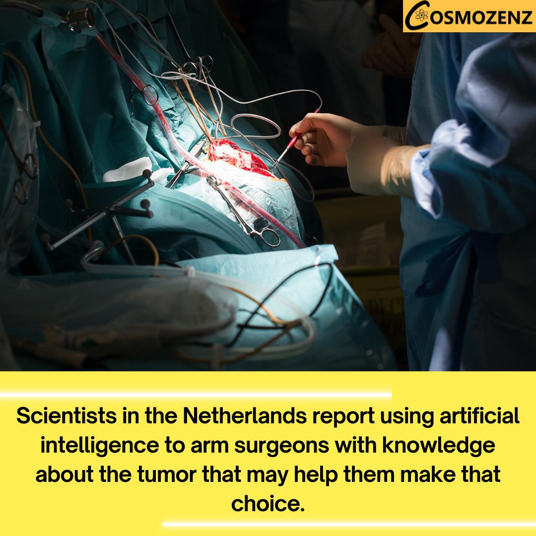 cosmozenz's tweet photo. Now scientists in the Netherlands report using artificial intelligence to arm surgeons with knowledge about the tumor that may help them make that choice.
Follow: @cosmozenz
#braintumer #AI #brain #diagnose #health #tumors #newsforyou #latestupdate #viralnewss #newsstoday https://t.co/fIcgmfbfk9
