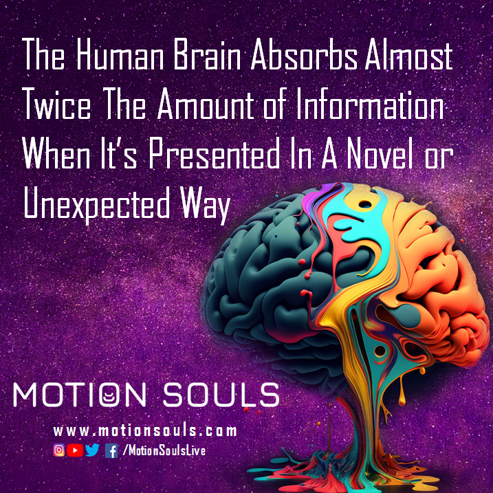 MotionSoulsLive tweet picture