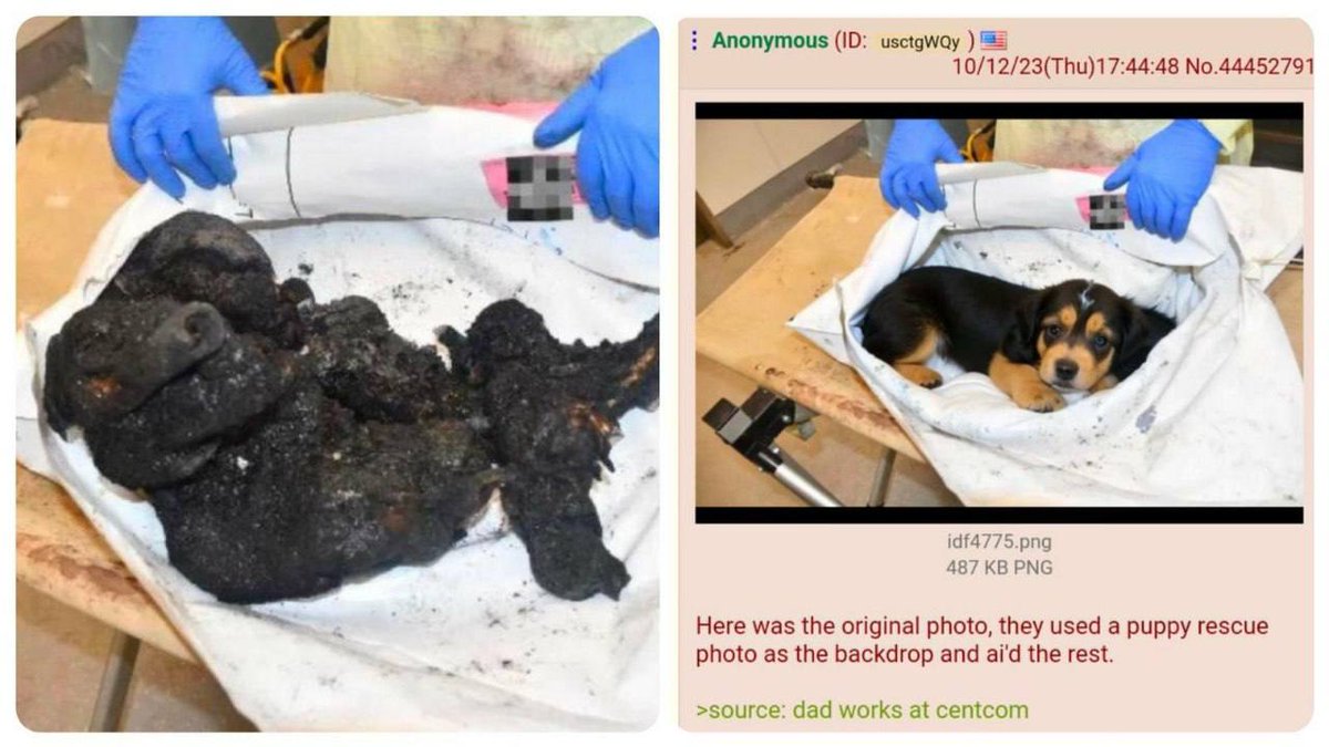 SprinterPress's tweet photo. A fake photo of the "horrors of Hamas" made by artificial intelligence, originally showed a dog. https://t.co/PGzgdm70XW