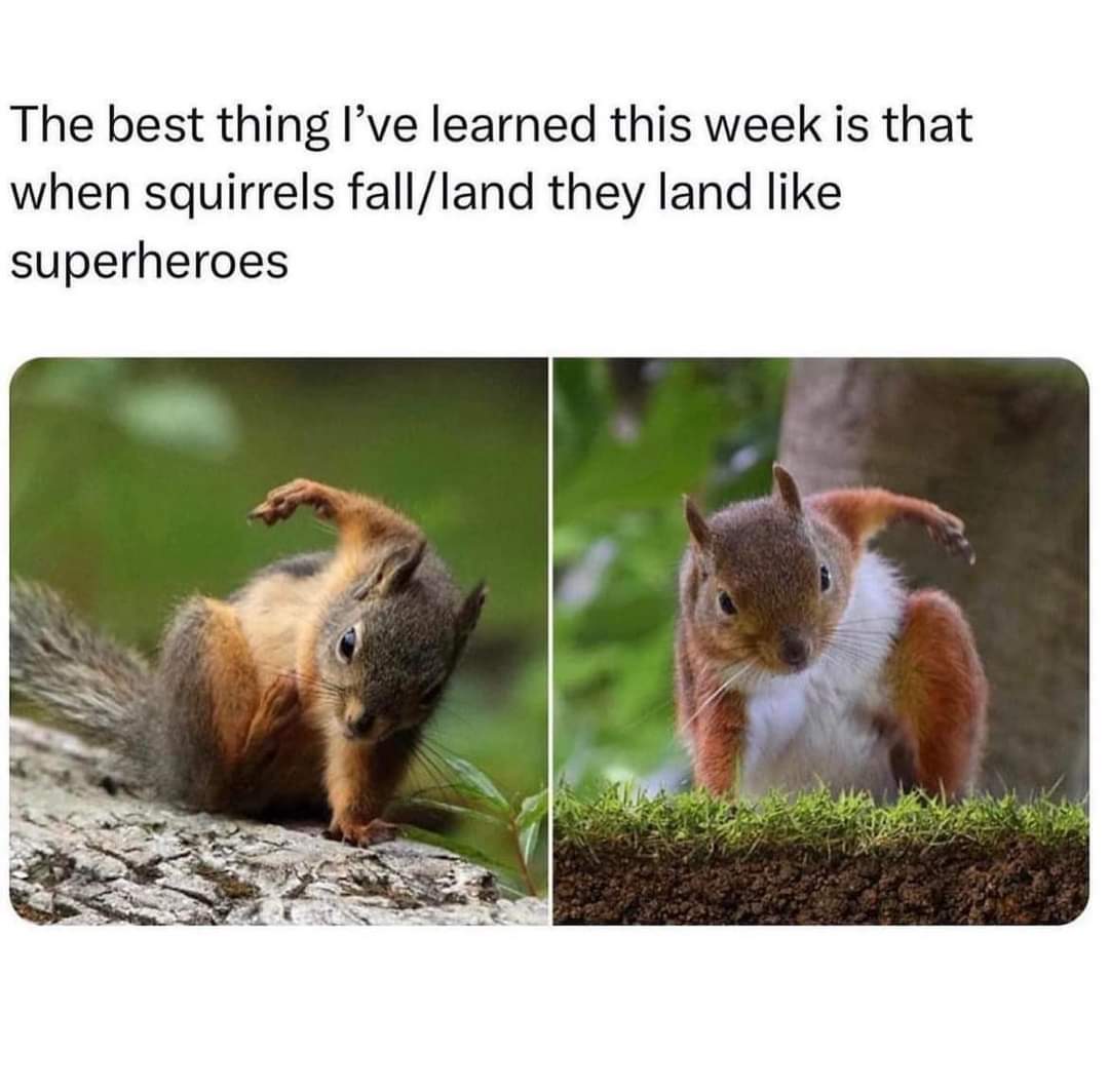 lumpees's tweet photo. Wishing you all the bestest of Friday's

And have yourselves a wickedly wild weekend https://t.co/99nJfaRgts
