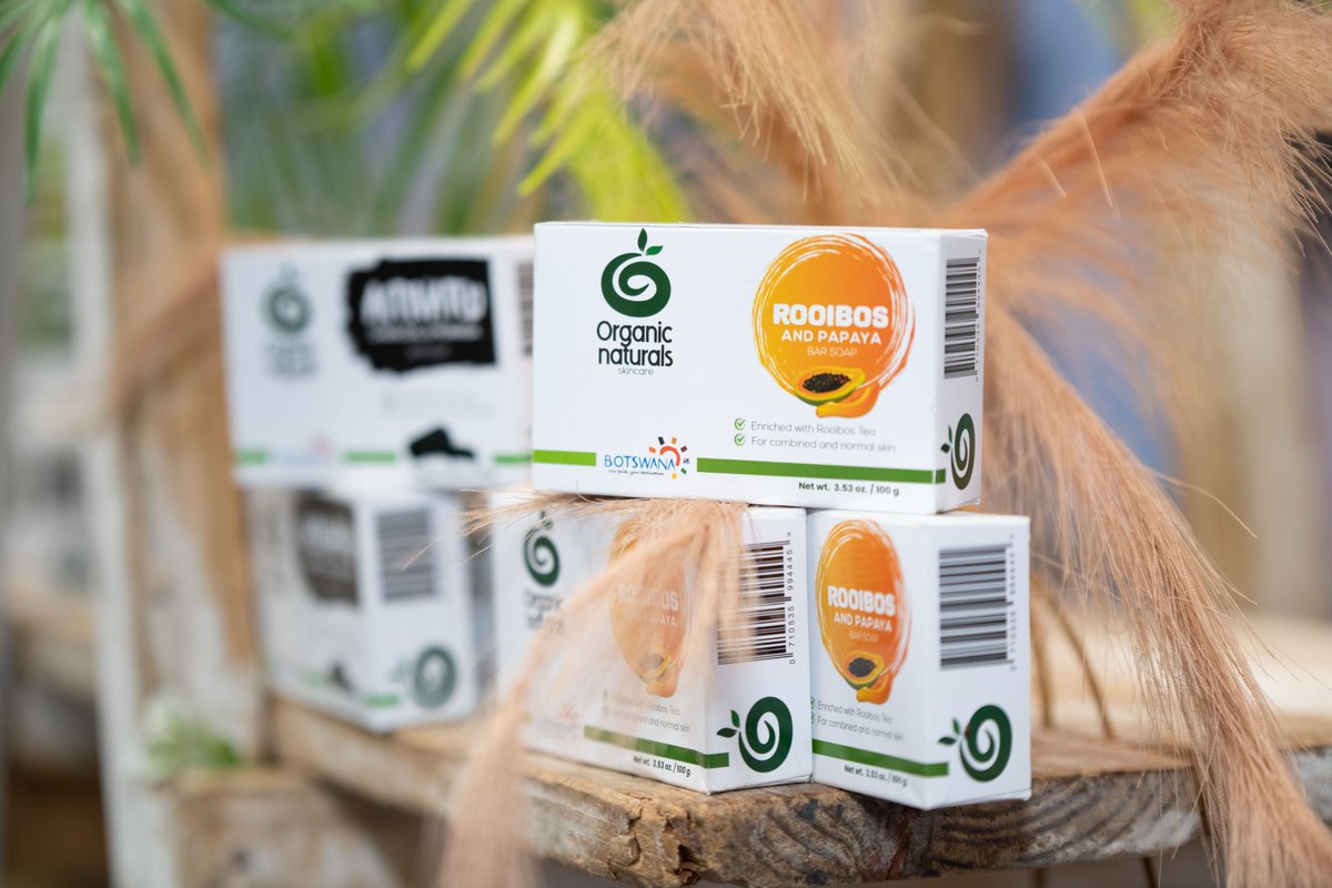 Experience the remarkable moments at the #PushaBW Marketplace, where our local businesses demonstrate unwavering excellence!  The Global Expo is ongoing, and it's important to note that we'll be running this Saturday too.

#GEB2023 #BITC #BrandBotswana #PushaBW