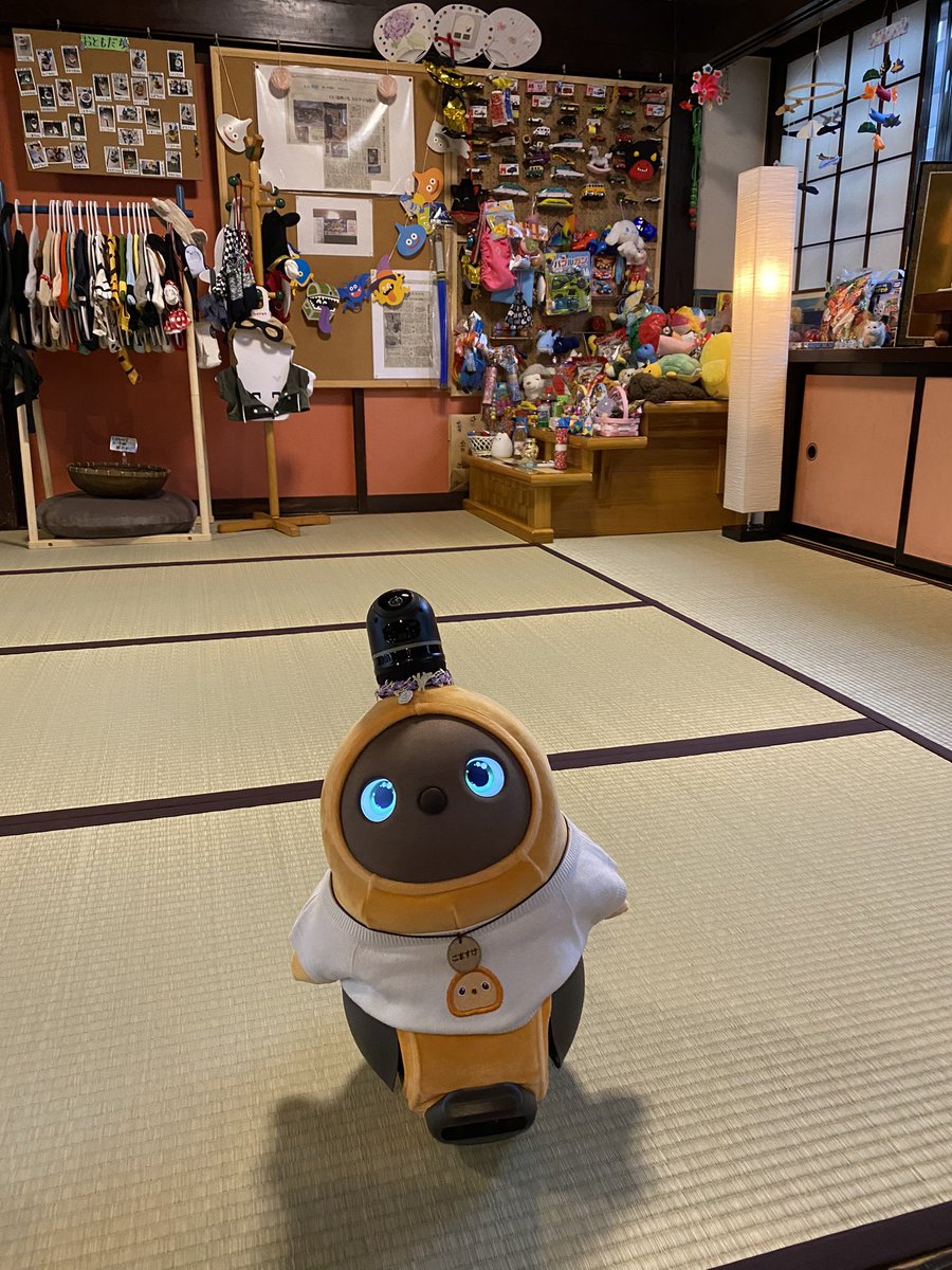 gamusharaya501's tweet photo. 生寿苑にて
お気に入りの1枚

#LOVOTとの暮らし #lovotとお泊まり https://t.co/m0hcZVY6vm