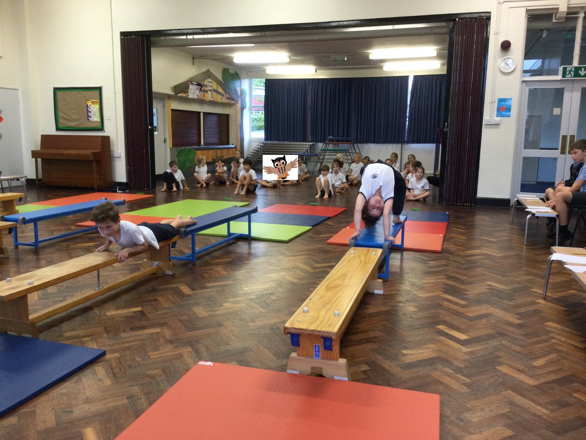 Moss Hey Primary tweet media