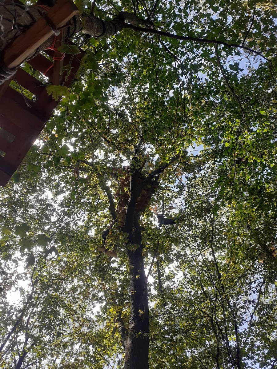 Beautifull atmosphere at <a href="/Baeumebleiben/">BäumestattParkenDietibleibt</a> eviction is expected to start already next week. Come support! 
#BaümeStattPolizei