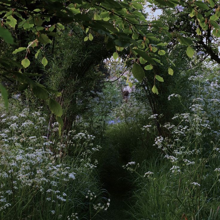 elemmiressoul's tweet photo. fairyland. https://t.co/TnsF3WePHA