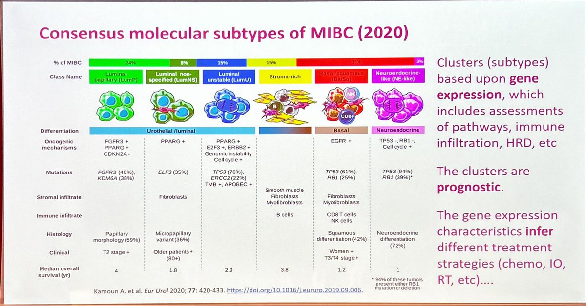 PBlanchardMD's tweet photo. Promising data on biomarker for urothelial cancers (NMIBC MIBC UTUC) both for screening, treatment and follow-up. Excellent talk by Prof Rik Bryan at #FOCUS23
#bladdercancer #blcsm https://t.co/OG1gvOt0Gs