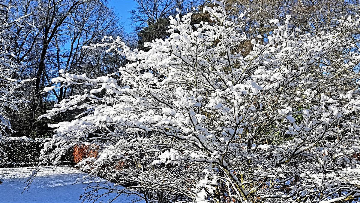 Weerprimeur's tweet photo. 13 oktober negentienhonderdvijfenzeventig, bijna een halve eeuw terug: sneeuw in Nederland. Er lag tot 5 cm. https://t.co/o4TPt87Tah