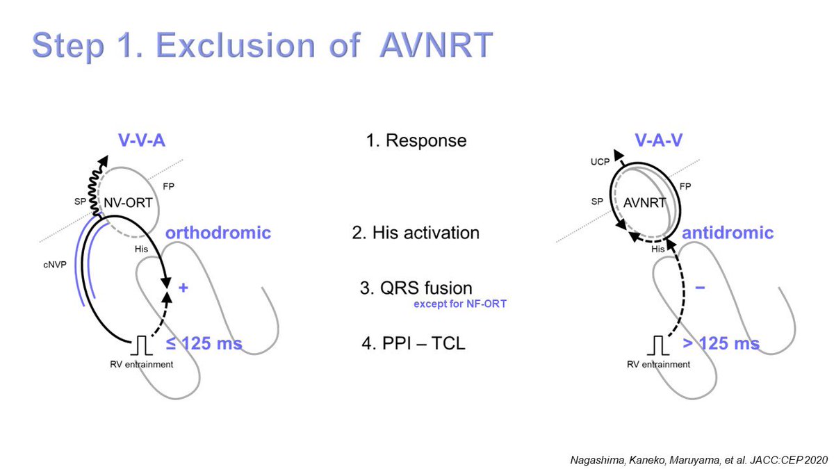 Koichi Nagashima@EP Univ. Ablation School tweet media