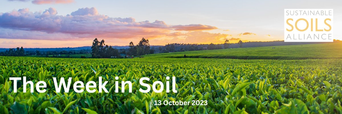 Sustainable Soils Alliance 🌱 tweet media