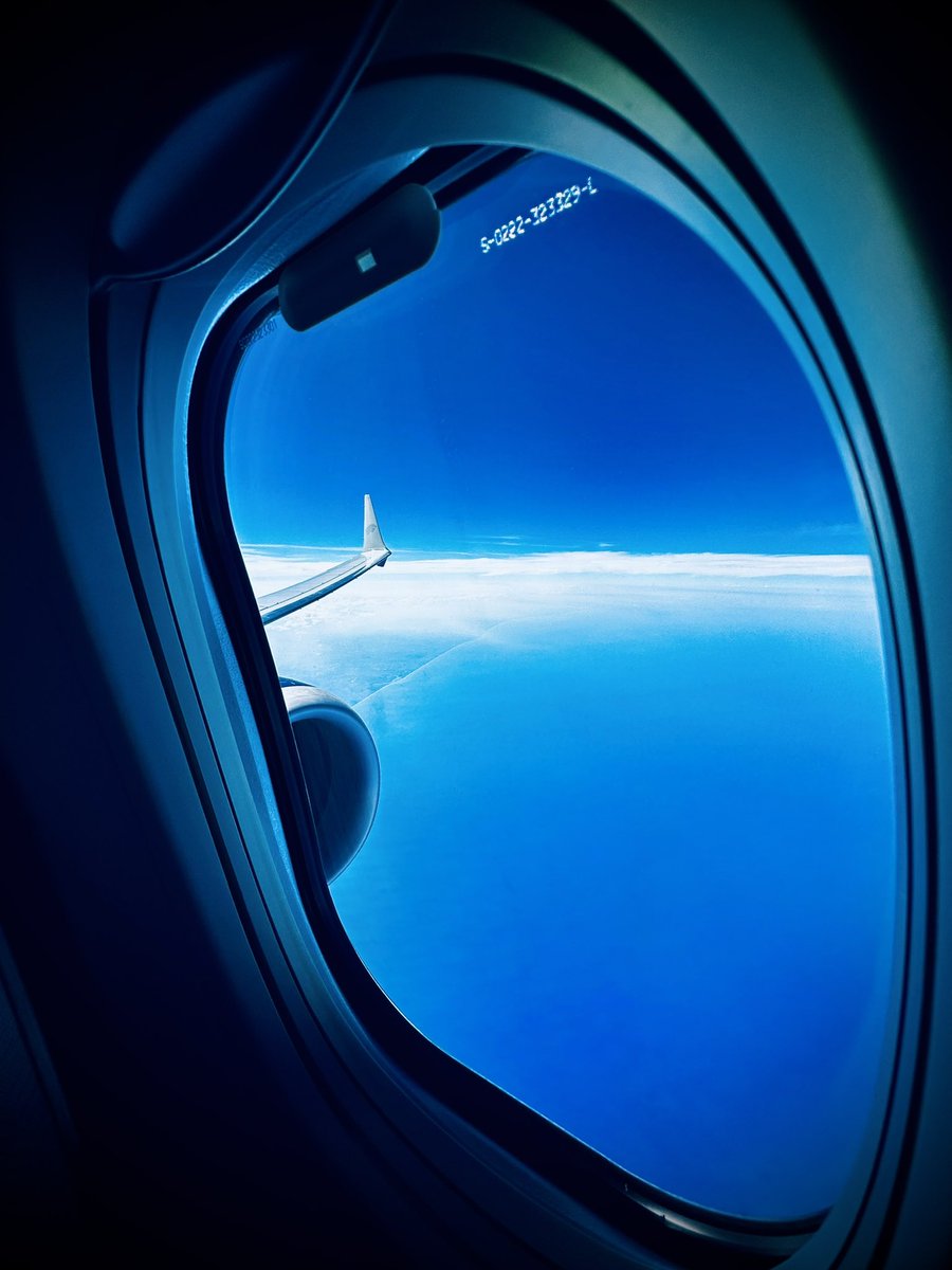 High over México onboard an Aeromexico 737-MAX9

#WingFriday