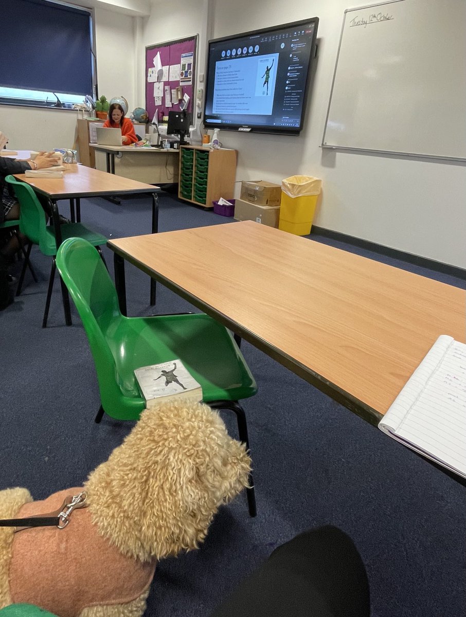 Orchard Mead Academy - Library tweet media