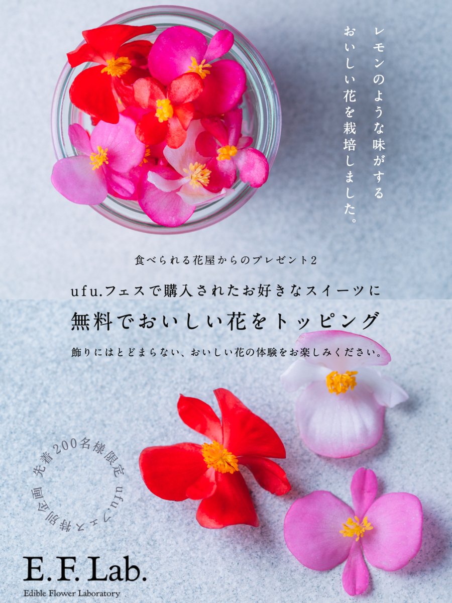 ryo_eflab's tweet photo. フェスだし赤字でもやるぞー！こちらも拡散希望！

スイーツの祭典「ufuフェス」限定企画その2💡

ufuフェスのスイーツを購入した方に『おいしい花』のトッピングを1輪プレゼント🌹

先着200名です。レモンの味がする花です！

この機会に飾りではない「おいしい花」を知っていただきたい！来てね！ https://t.co/U5NxfphiE8