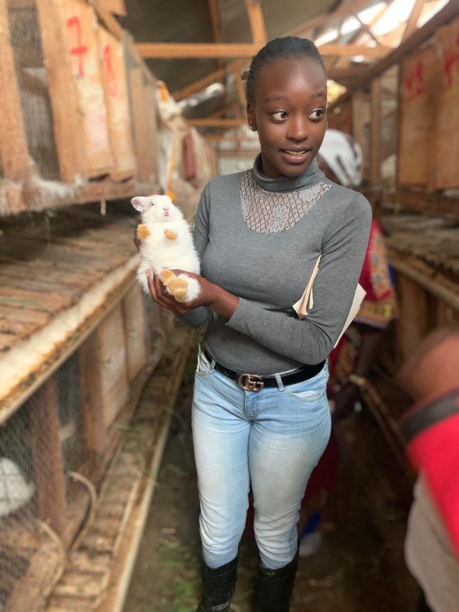 Antoinett2002's tweet photo. As the  Youth Advisory Member Kenya at the GASL, I had the privilege of visiting Dr. Pamela's  pig  and rabbit farm in Western ,which  is a model of excellence focusing on recordkeeping, animal welfare, spacious housing, feed efficiency &amp;manure management #SustainableLivestock https://t.co/G7IpjefIua