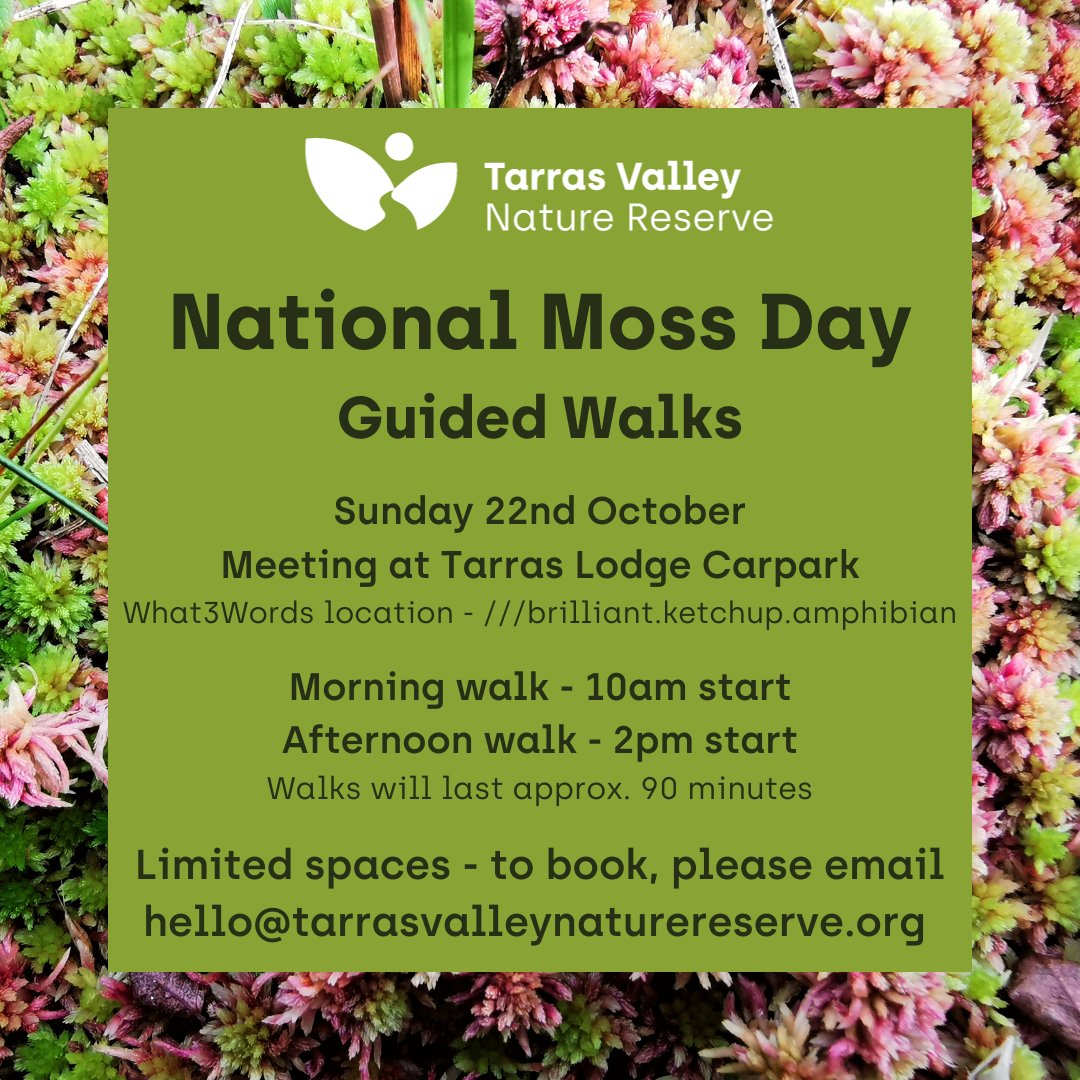 🌿 Join us for a Moss-tacular Adventure on October 22nd! 🌿 Explore the  wonders of Tarras Valley's peat bogs with guided walks at 10 AM and 2  PM. Limited spots available - book your place now at hello@tarrasvalleynaturereserve.org. Let's celebrate #NationalMossDay together!🚶‍♂️