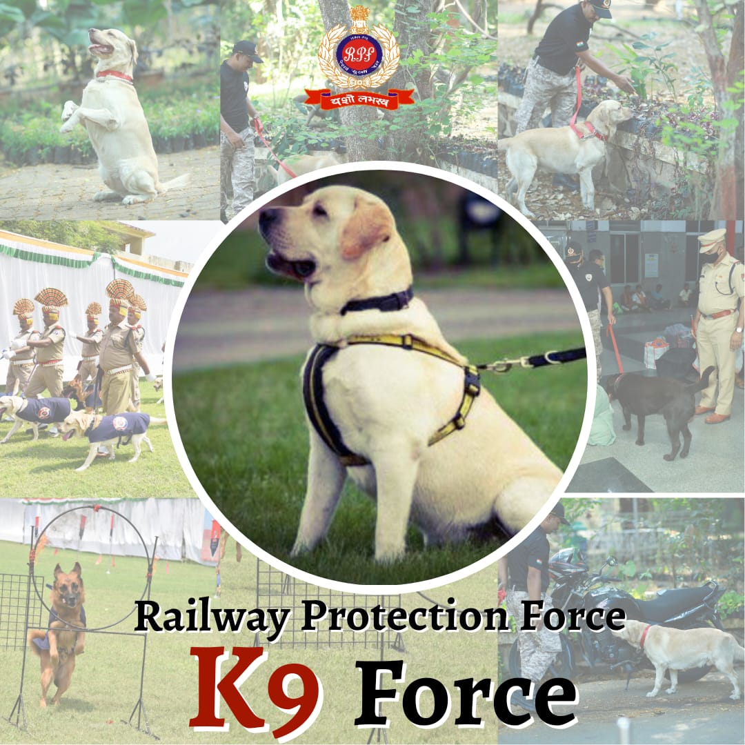 RPF INDIA (@rpf_india) on Twitter photo New paws on patrol 🐾
The fight against illegal #drugtransportation is getting a boost as we're in the process of acquiring more sniffer dogs to make railway security even stronger.
timesofindia.onelink.me/mjFd/toisupers…
#K9unit #DogSquad <a href="/RailMinIndia/">Ministry of Railways</a> <a href="/TOIIndiaNews/">TOI India</a> <a href="/AshwiniVaishnaw/">Ashwini Vaishnaw</a> New paws on patrol 🐾
The fight against illegal #drugtransportation is getting a boost as we're in the process of acquiring more sniffer dogs to make railway security even stronger.
timesofindia.onelink.me/mjFd/toisupers…
#K9unit #DogSquad <a href="/RailMinIndia/">Ministry of Railways</a> <a href="/TOIIndiaNews/">TOI India</a> <a href="/AshwiniVaishnaw/">Ashwini Vaishnaw</a>