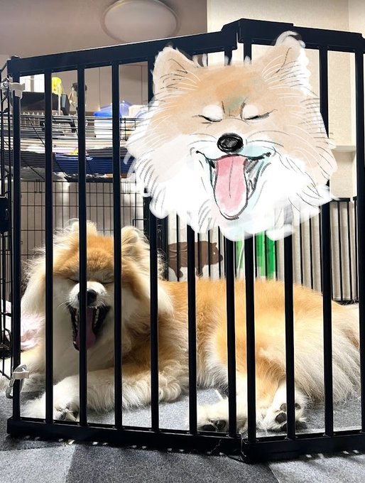 「animal cage」 illustration images(Latest)
