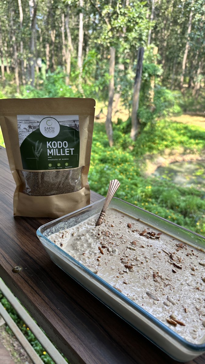 SandeepMall's tweet photo. Kodo millet rabdi without sugar for dessert today at lunch and if you are looking to order millets Earthfocus has established a millet processing unit to support the tribal farmers and you can order at Earthfocus Instamojo store
@join2manish @chiefsanjay 
https://t.co/dKobPA7xLh https://t.co/o32PmS4tOk