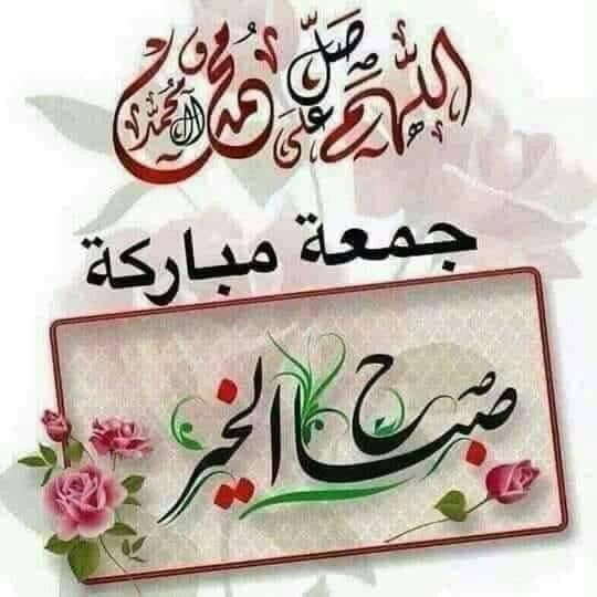 Amir Amir (@amirami71878229) on Twitter photo 