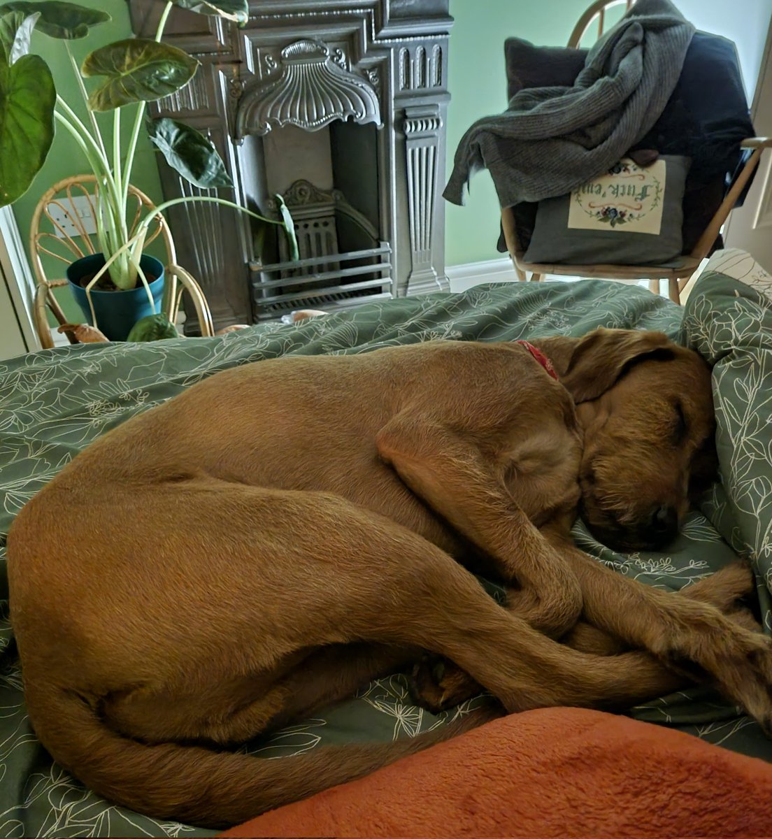 BLOCKCHAIN RECLAIM 🏆🏅 tweet media