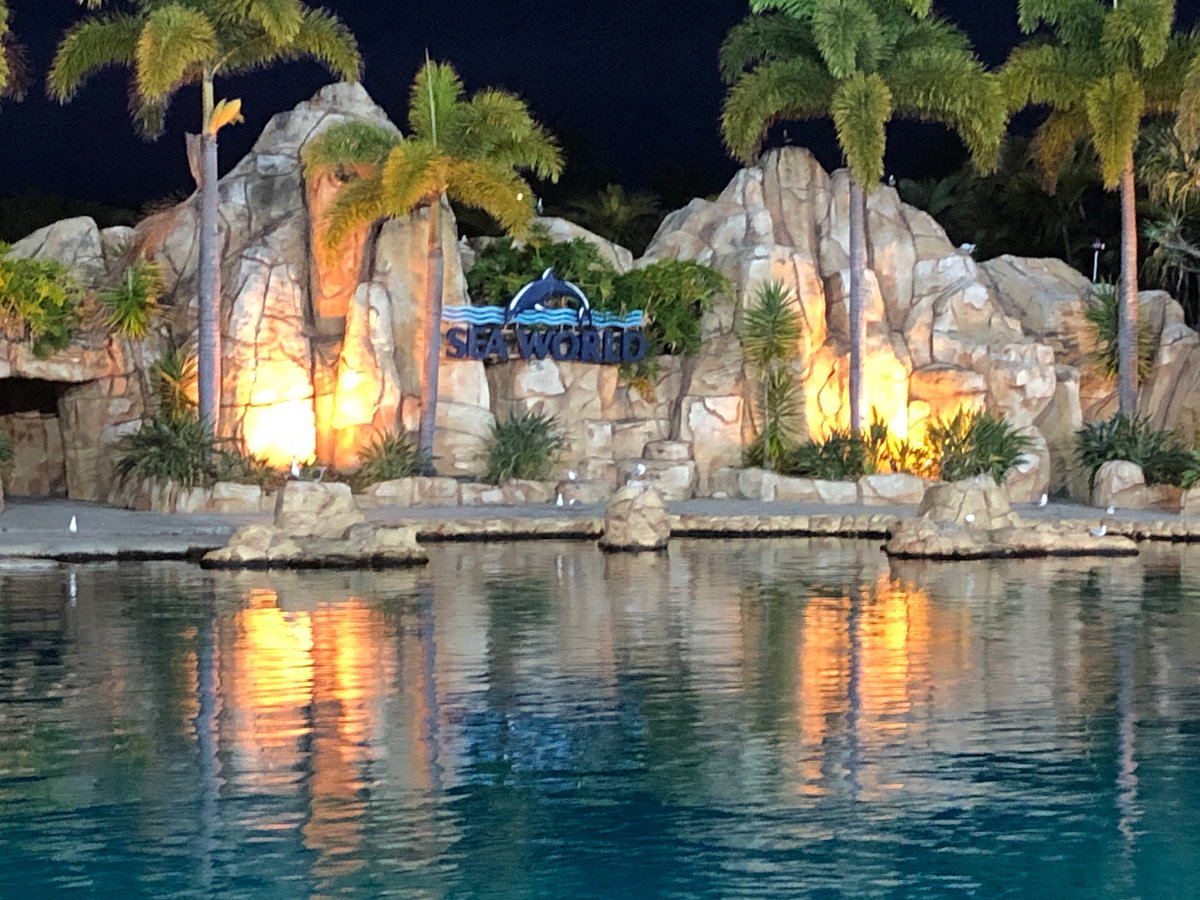 jacobaldridge's tweet image. Wow, the @seaworldresort #SpookyNights Halloween dolphin show is impressive this year!