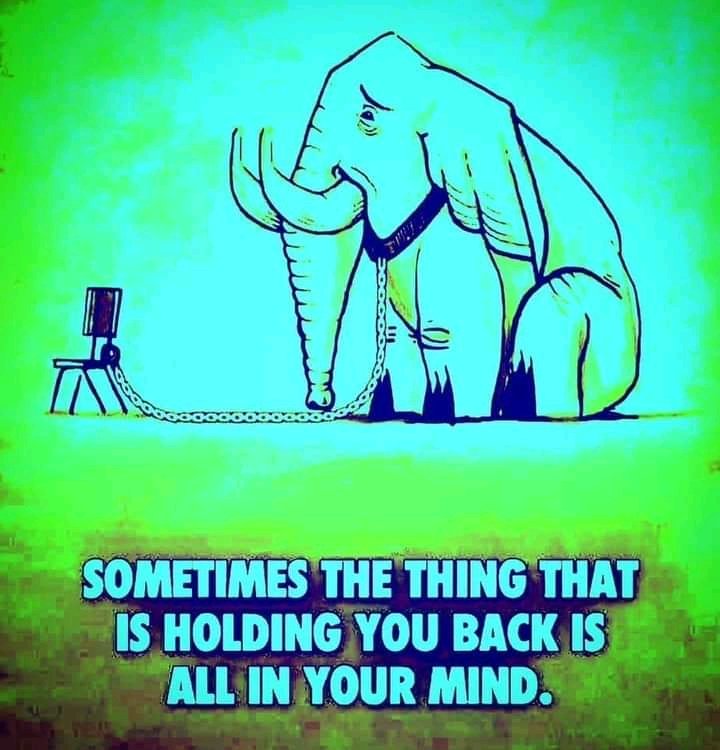 Emmanue44292344's tweet photo. Perfectly said.
Retweet, comment, like if you see this. https://t.co/yy5ytvzbIc