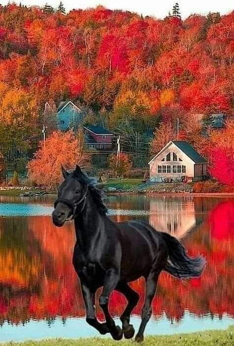 #TEAMSTALLION 🐎
<a href="/italianostyle2/">Frankie D....TEAMSTALLION</a>
<a href="/FlorMeninnaa/">Regina Dua Lipa Brasil</a>
<a href="/MarEthr/">👉 Mark 28K 😜👇</a>
<a href="/ChristineM76011/">Christine Mathiesen</a>
<a href="/EazvrBGDLG5QgDt/">ウォール・ウィン ✌️Uo~ru</a>
<a href="/MarthaCandia21/">🌼MARTHA CAN🌼</a>
<a href="/shadow_cap/">FollowGAIN🚀</a>
<a href="/Siogo61/">@siogo61</a>
<a href="/andreawan_/">andre</a>
<a href="/chiara_lez/">🦌《CHIARA》🦌</a>
<a href="/lumpie125/">lumpie125</a>
<a href="/ALESXIA_1/">˙●♥ A҉ L҉ E҉ S҉ X҉ I҉ A҉ _҉ 1҉●♥ -</a> 
<a href="/AMARALL_82/">🅰🅼🅰🆁🅰🅻</a>
<a href="/morgan2k21/">Stan Harvard</a>
<a href="/Yusuf_Ka7/">Yusuf</a>
<a href="/BrettMGWV/">brett</a>
@rosa40750
<a href="/R3_Adv/">JarodKOPI🇮🇩</a>
<a href="/Oce_2520/">OmEr</a>
@SantosNer2
<a href="/martins547/">Anderson Martins ▶ 1️⃣3️⃣ - Lula / PT - Sempre 🚩</a>