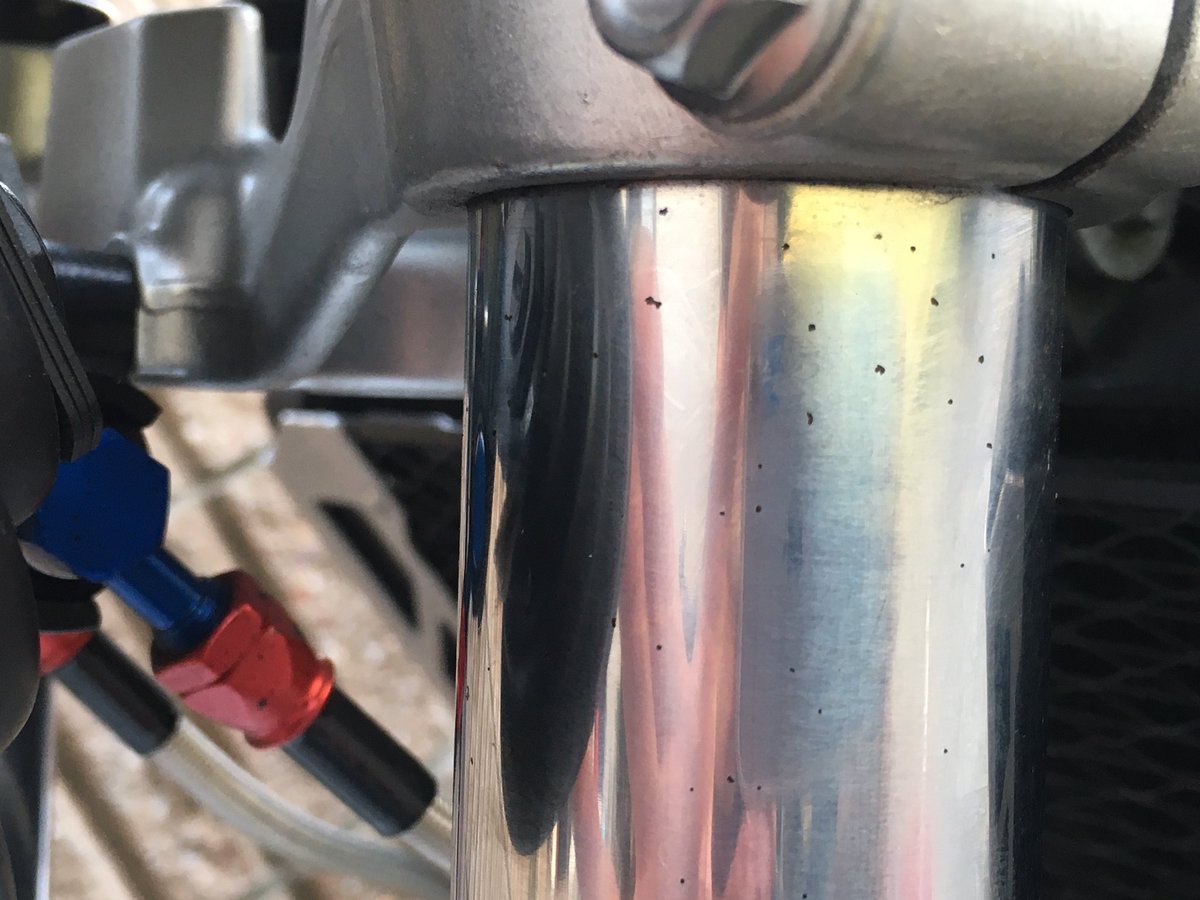 Shin7739's tweet image. さっさとツーリングから帰って走行後の掃除してたら改めて気付くフォークのシール割れと錆び
#一日中バイク乗ると膝と尻が痛くなる
#SC40 #CB1300 #すぐ割れるダストシール