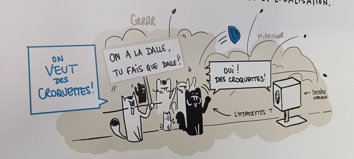 EloScicomm's tweet photo. On s'est bien amusées, j'ai adoré voir @LucieClarysse illustrer certaines de mes bêtises et on a eu de très bonnes idées en duo. 

Notre personnage fil rouge de ces 35 BDs était un petit chat, elle en  a profité pour glisser une référence à Plume sur une des BDs 🫶. (3/3) https://t.co/SJHJ5fCltp