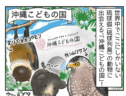 『あてっこ どうぶつずかん だれ』といく 全国の動物園案内 ! 今回ご紹介するのは 【沖縄県・沖縄こどもの国】✨ 動物園がもっと楽しくなる秘訣は……? 4コマと動物コラムを楽しんでくださいね😊 https://yomeruba.com/serial/essays/zoo_guide/entry-15066.html