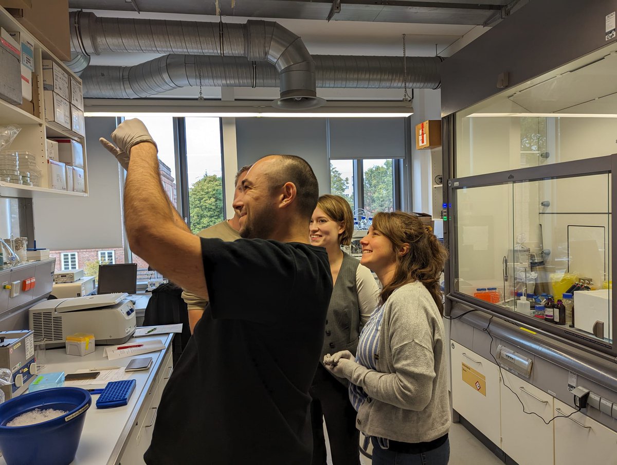 FedorovaLab's tweet image. This week we hosted @Ferroptosis2306 training school at #ZML @Medizin_TUD! 5 days of #lipidomics and #epilipidomics in #ferrotosis training by @MicheleWoelk @PNepachalovich @Zhixu_Ni and Sider.