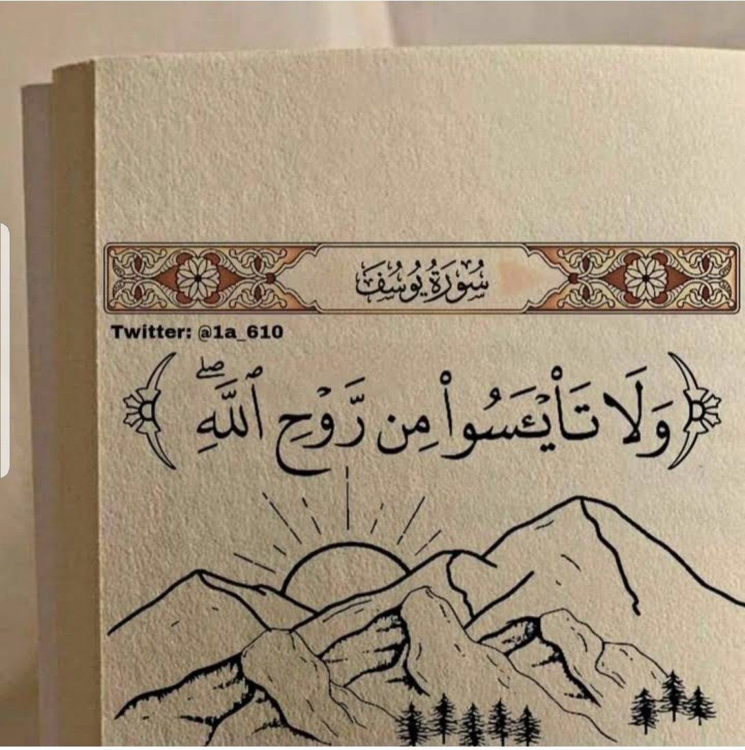 🇸🇦 tweet media