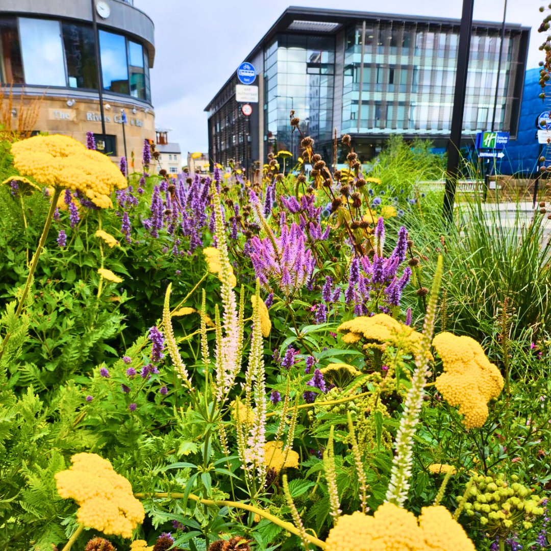 The Green Estate CIC tweet media