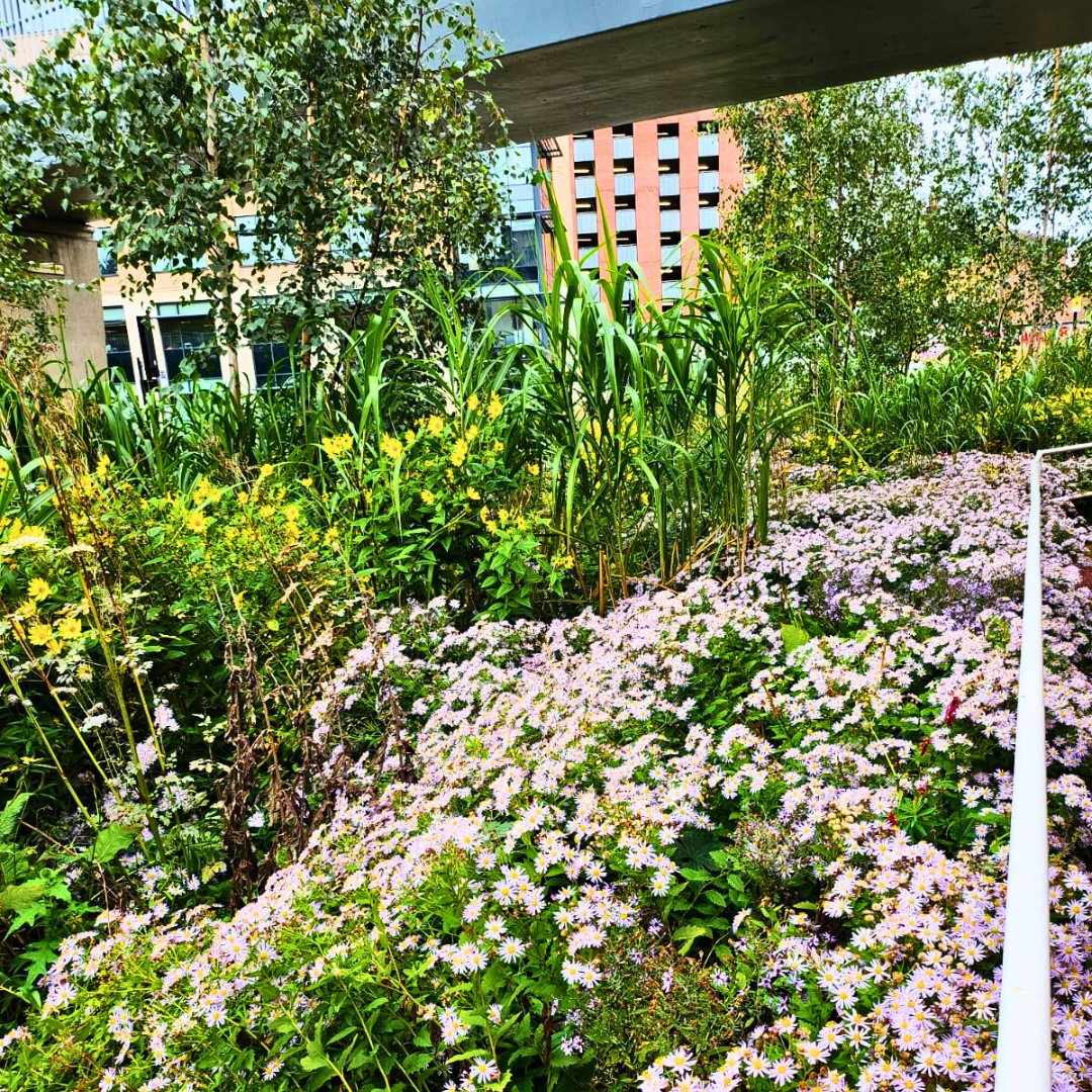 The Green Estate CIC tweet media