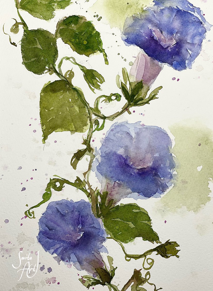 Morning glory twines,
Unfolding in the sunrise,
Beauty that defines 🌸

#watercolorflorals #watercolor #floralart #floral #Autumn #October